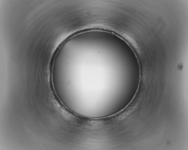 X0000090460888200707272234