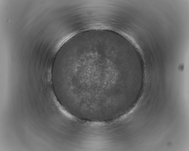 X0000090460889200707272234