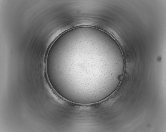 X0000090460890200707272234