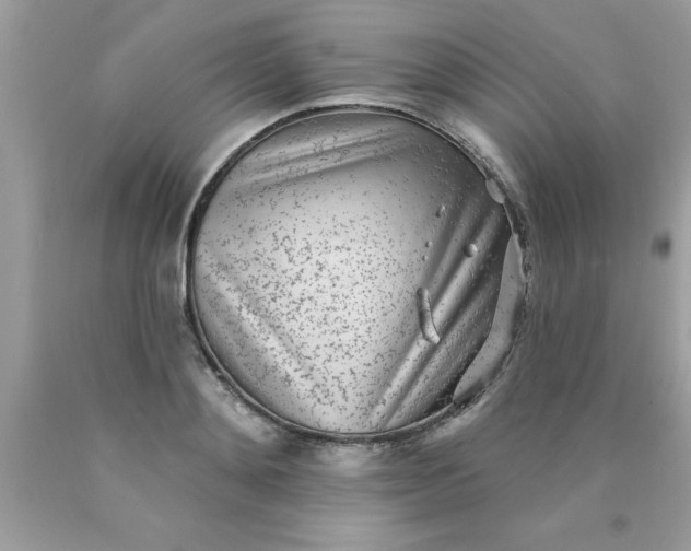 X0000090460892200707272234