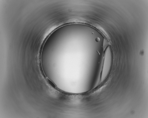 X0000090460893200707272234