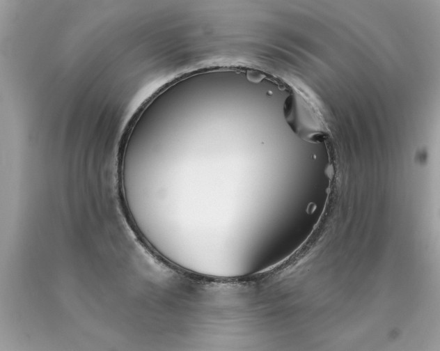 X0000090460894200707272234