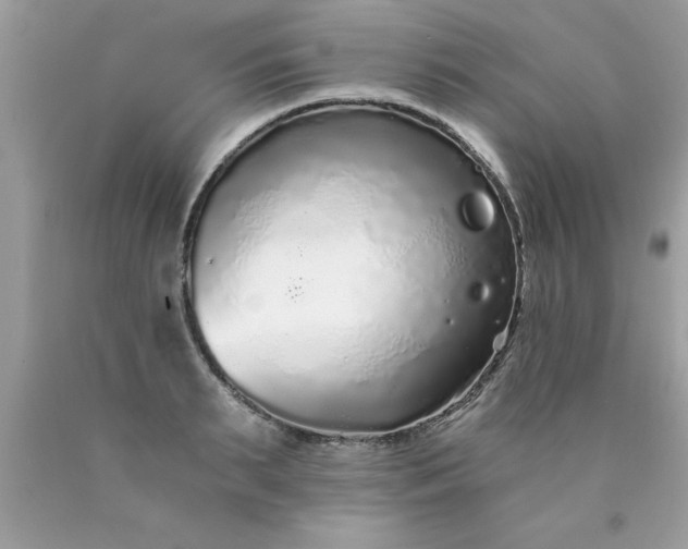 X0000090460895200707272234