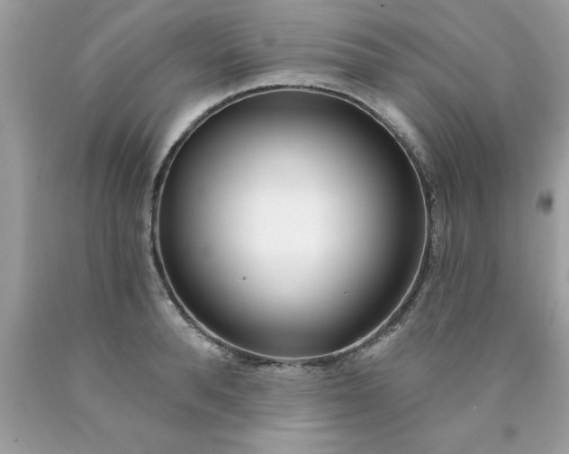 X0000090460896200707272234