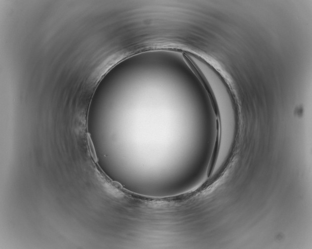 X0000090460897200707272234
