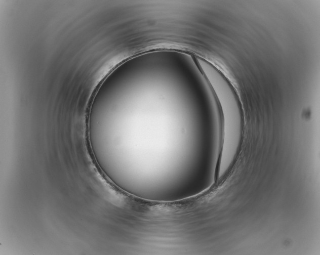 X0000090460898200707272234