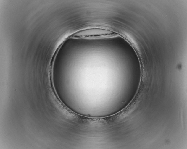 X0000090460899200707272234