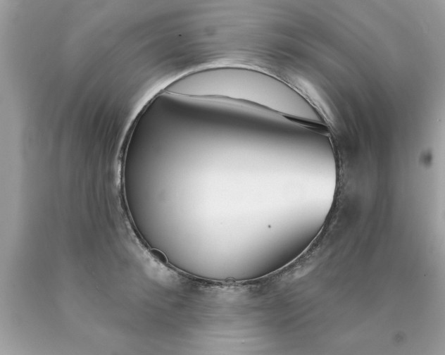 X0000090460900200707272234