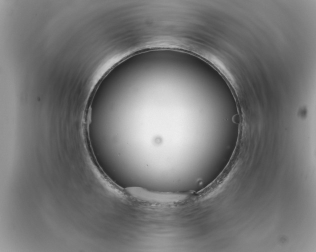 X0000090460901200707272234