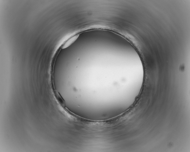 X0000090460902200707272234