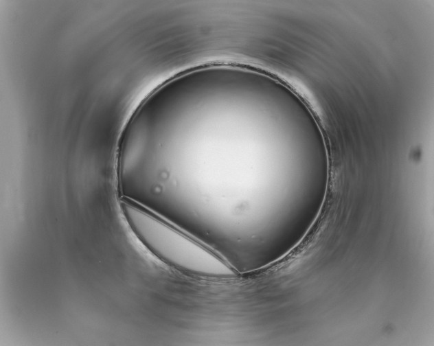 X0000090460903200707272234
