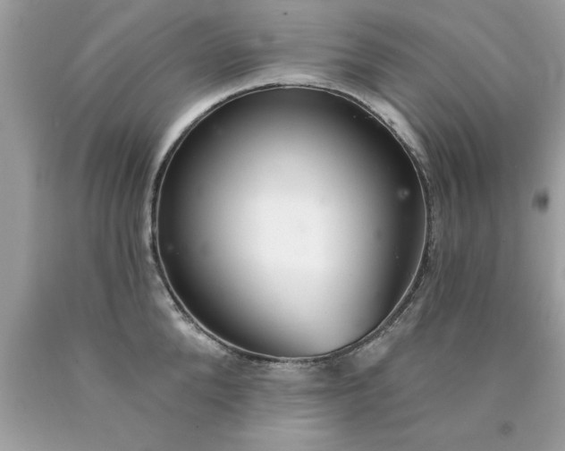 X0000090460904200707272234