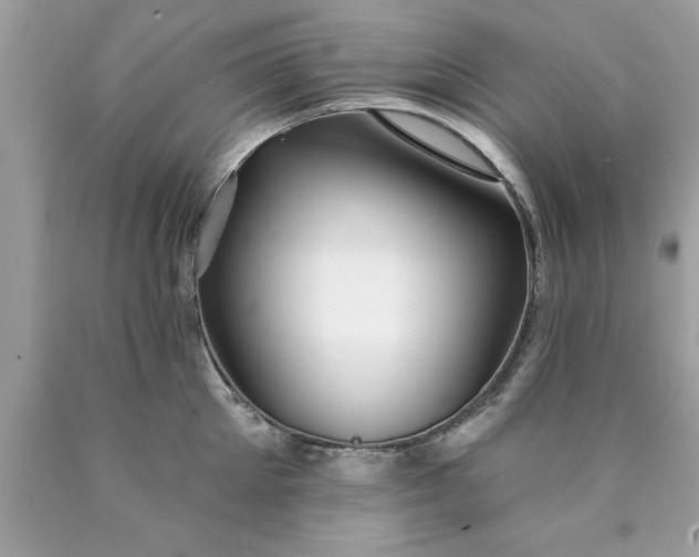 X0000090460905200707272234