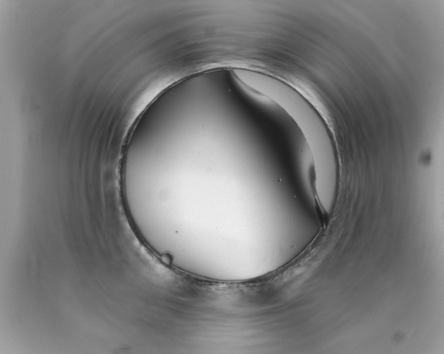 X0000090460906200707272234