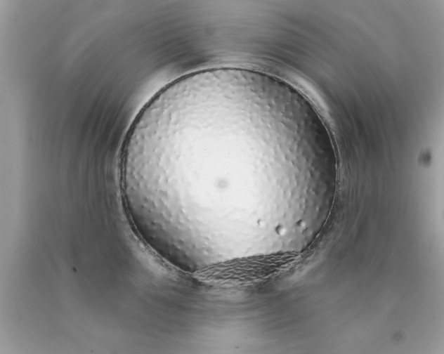 X0000090460907200707272234
