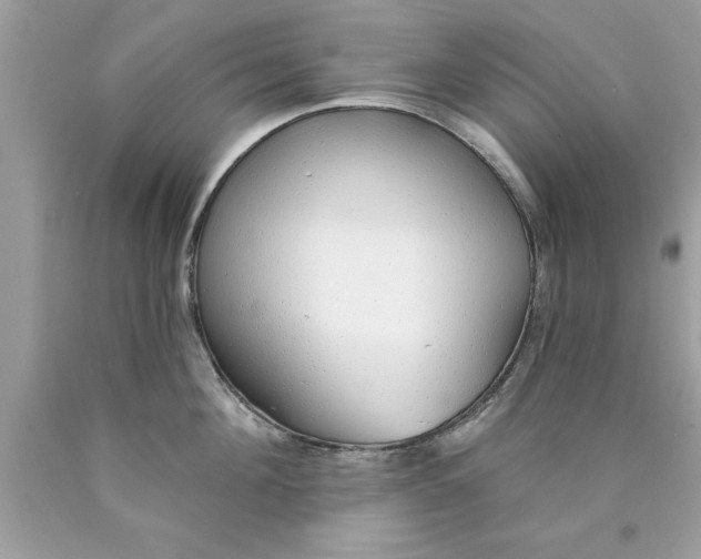 X0000090460908200707272234