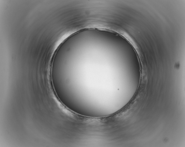 X0000090460909200707272234