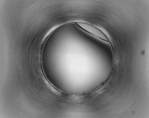 X0000090460910200707272234