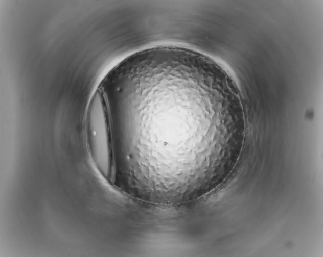 X0000090460911200707272234