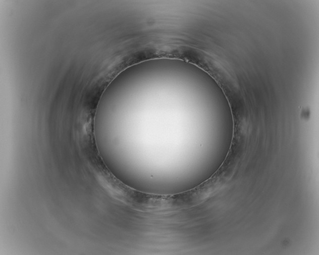 X0000090460914200707272233