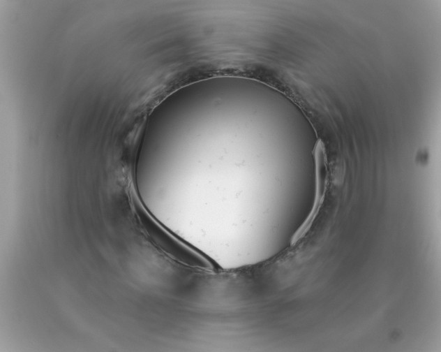 X0000090460916200707272233