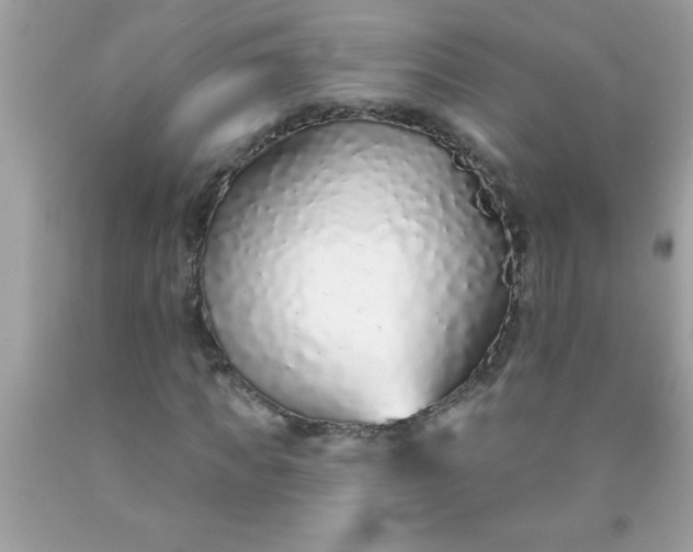 X0000090460917200707272233