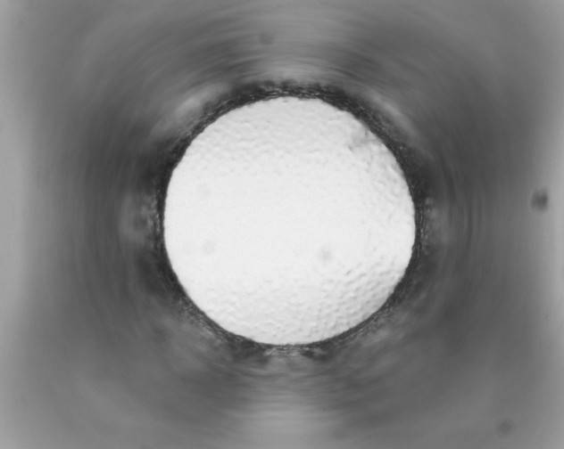 X0000090460918200707272233
