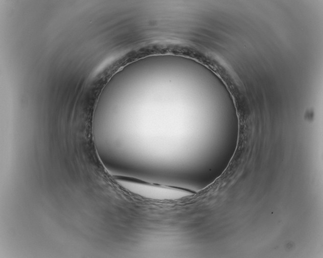 X0000090460919200707272233