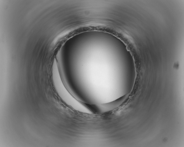 X0000090460920200707272233