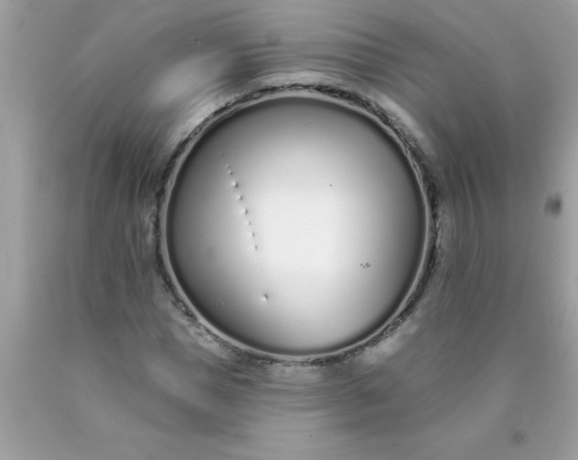 X0000090460921200707272233