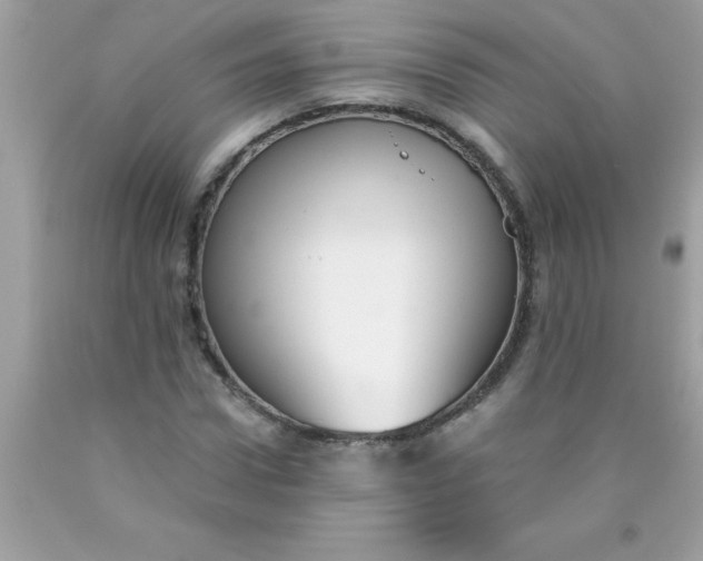 X0000090460922200707272233