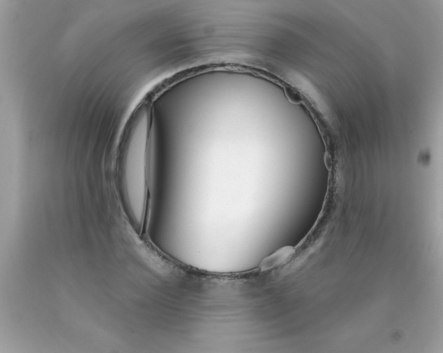 X0000090460924200707272233