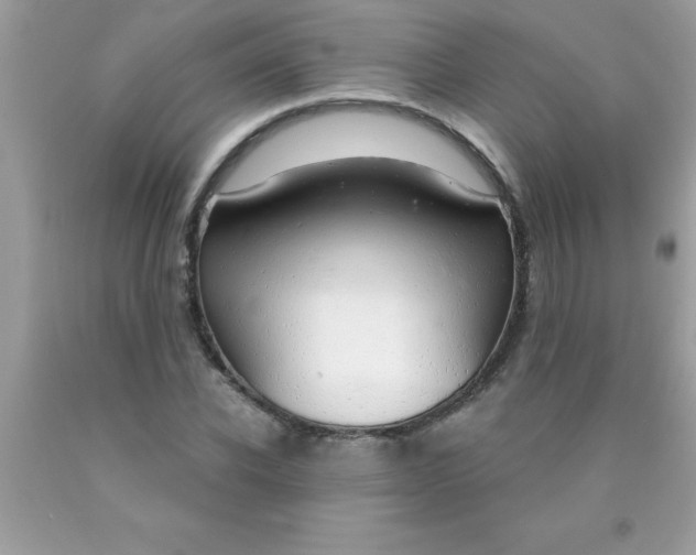 X0000090460926200707272233