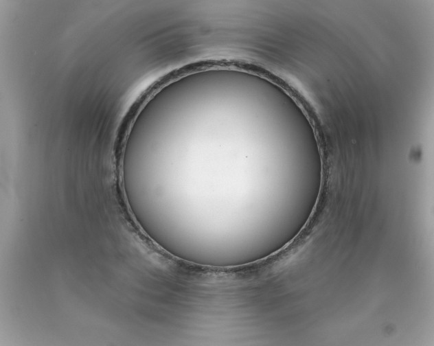 X0000090460927200707272233