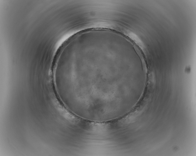 X0000090460928200707272233
