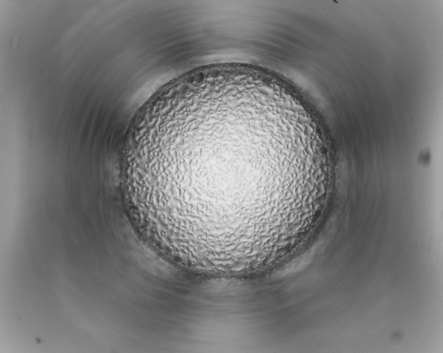 X0000090460929200707272233