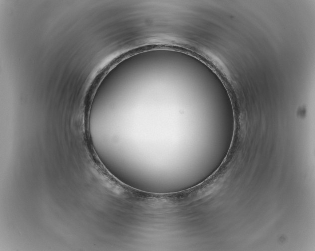 X0000090460931200707272233