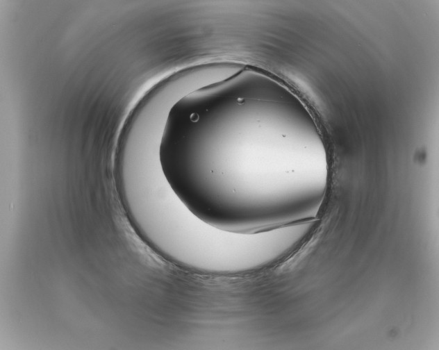 X0000090460932200707272233