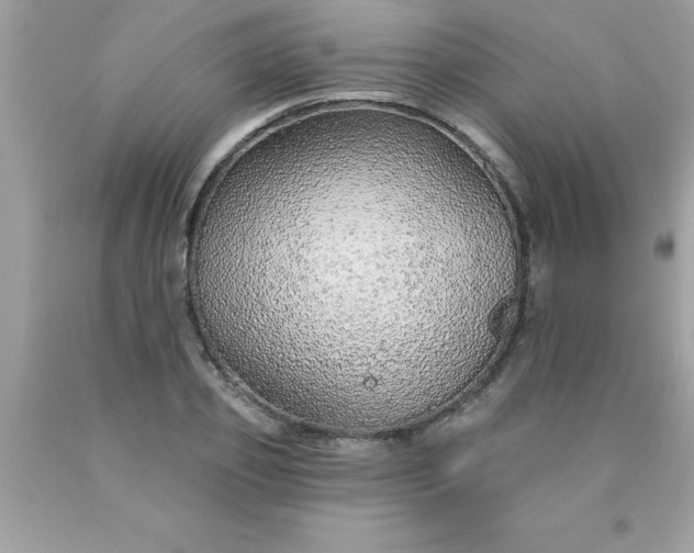 X0000090460933200707272233