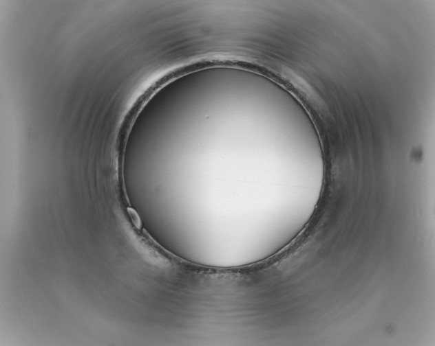 X0000090460934200707272233