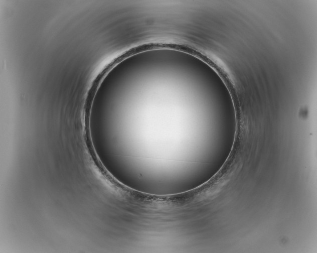 X0000090460935200707272233