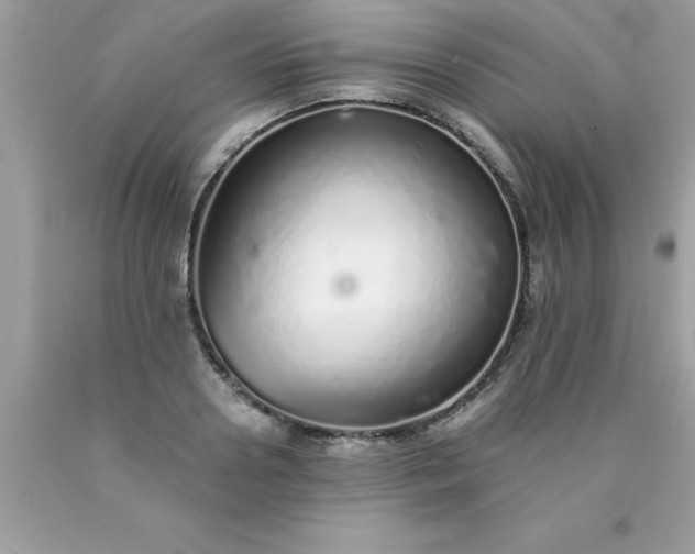 X0000090460938200707272233