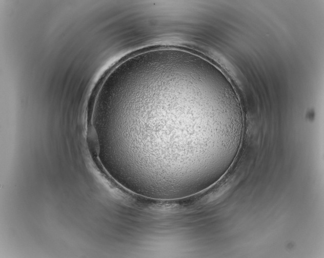 X0000090460939200707272233