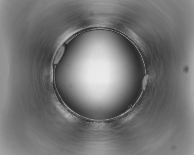 X0000090460940200707272234