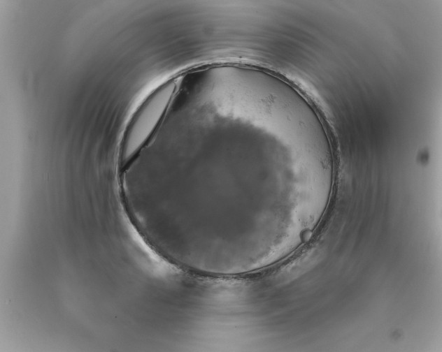 X0000090460941200707272234