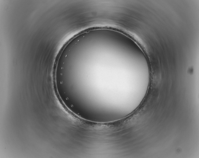 X0000090460943200707272234
