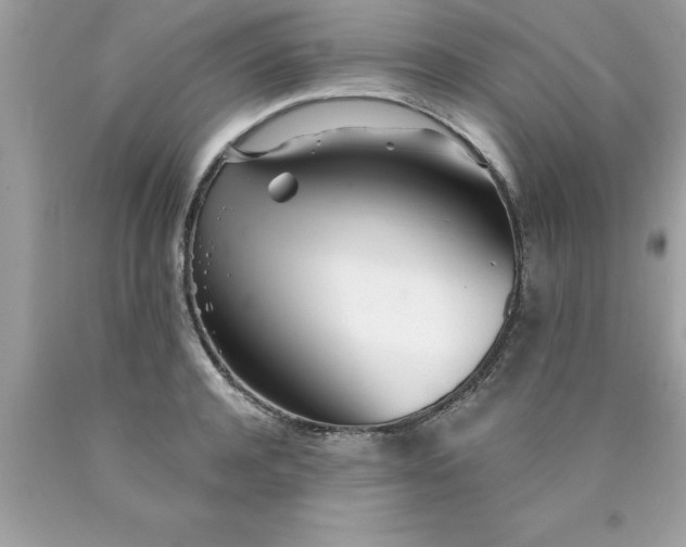 X0000090460944200707272234