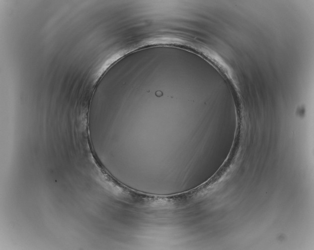 X0000090460945200707272234