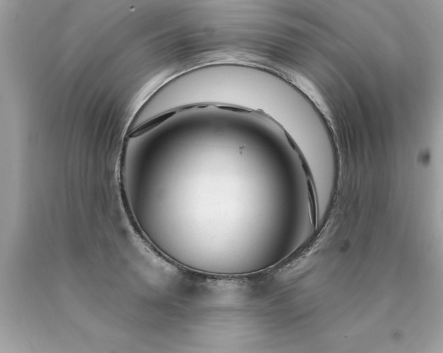 X0000090460946200707272234