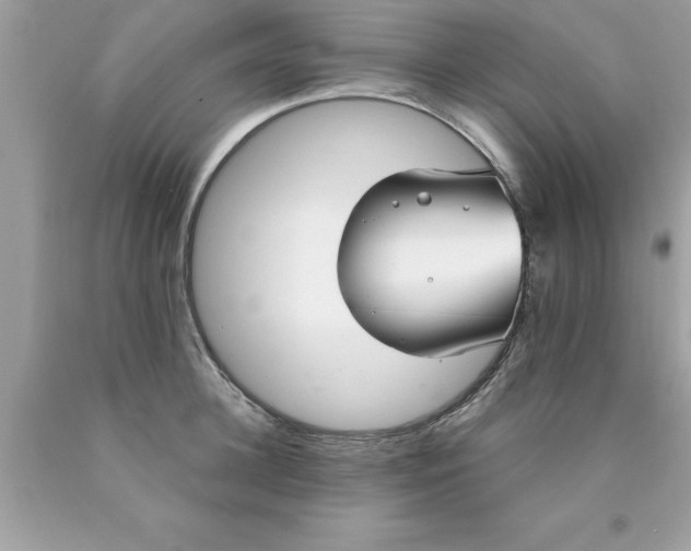 X0000090460948200707272234